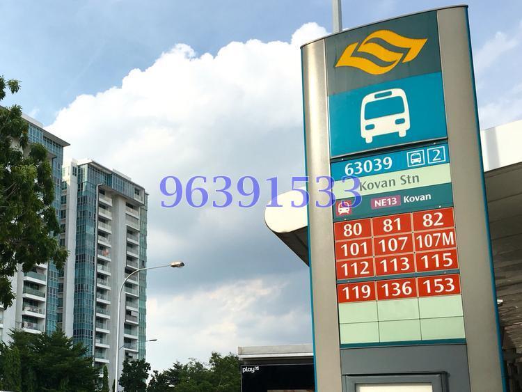 Surin Grove (D19), Terrace #129907642
